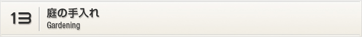 13.庭の手入れ